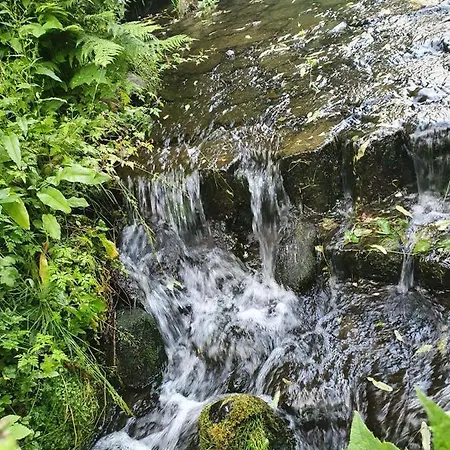 Schoene 3-zimmer Erdgeschosswohnung Am Bergpark,unesco,therme,train, Wilhelmshoeher Allee 329 Apartment