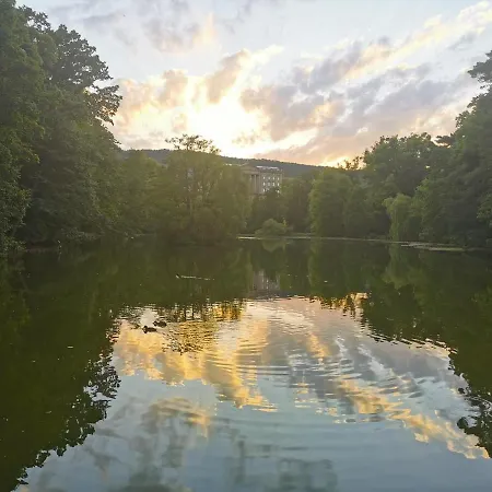 Schoene 3-zimmer Erdgeschosswohnung Am Bergpark,unesco,therme,train, Wilhelmshoeher Allee 329 *