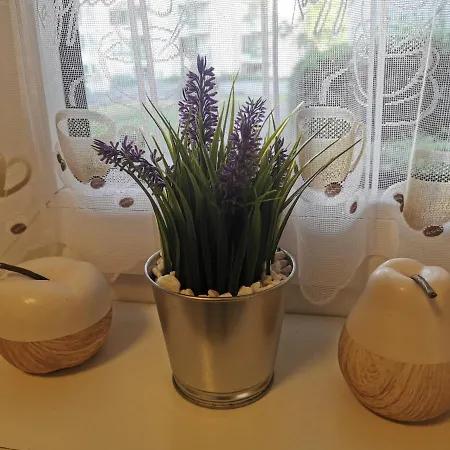 Schoene 3-zimmer Erdgeschosswohnung Am Bergpark,unesco,therme,train, Wilhelmshoeher Allee 329