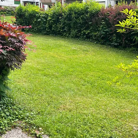 Schoene 3-zimmer Erdgeschosswohnung Am Bergpark,unesco,therme,train, Wilhelmshoeher Allee 329 卡塞尔