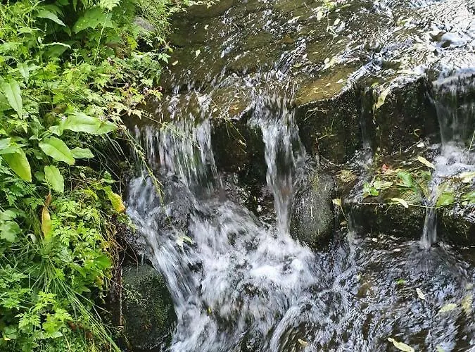 Schoene 3-zimmer Erdgeschosswohnung Am Bergpark,unesco,therme,train, Wilhelmshoeher Allee 329 公寓