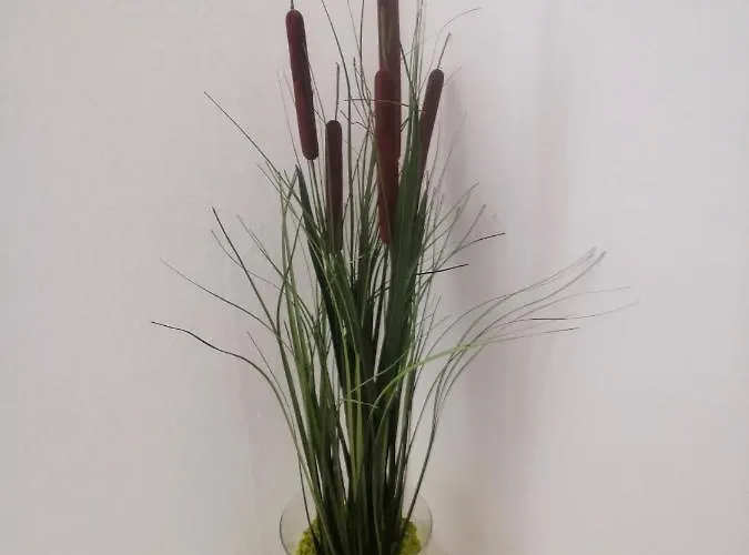 Schoene 3-zimmer Erdgeschosswohnung Am Bergpark,unesco,therme,train, Wilhelmshoeher Allee 329 公寓 卡塞尔