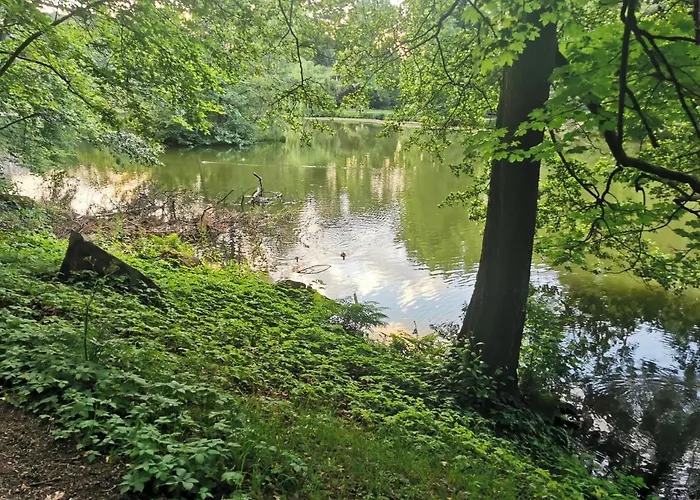 Schoene 3-zimmer Erdgeschosswohnung Am Bergpark,unesco,therme,train, Wilhelmshoeher Allee 329 Kassel