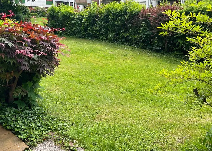 Schoene 3-zimmer Erdgeschosswohnung Am Bergpark,unesco,therme,train, Wilhelmshoeher Allee 329 卡塞尔